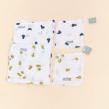 Muslin blanket pack (2 products): Apples & Grapes