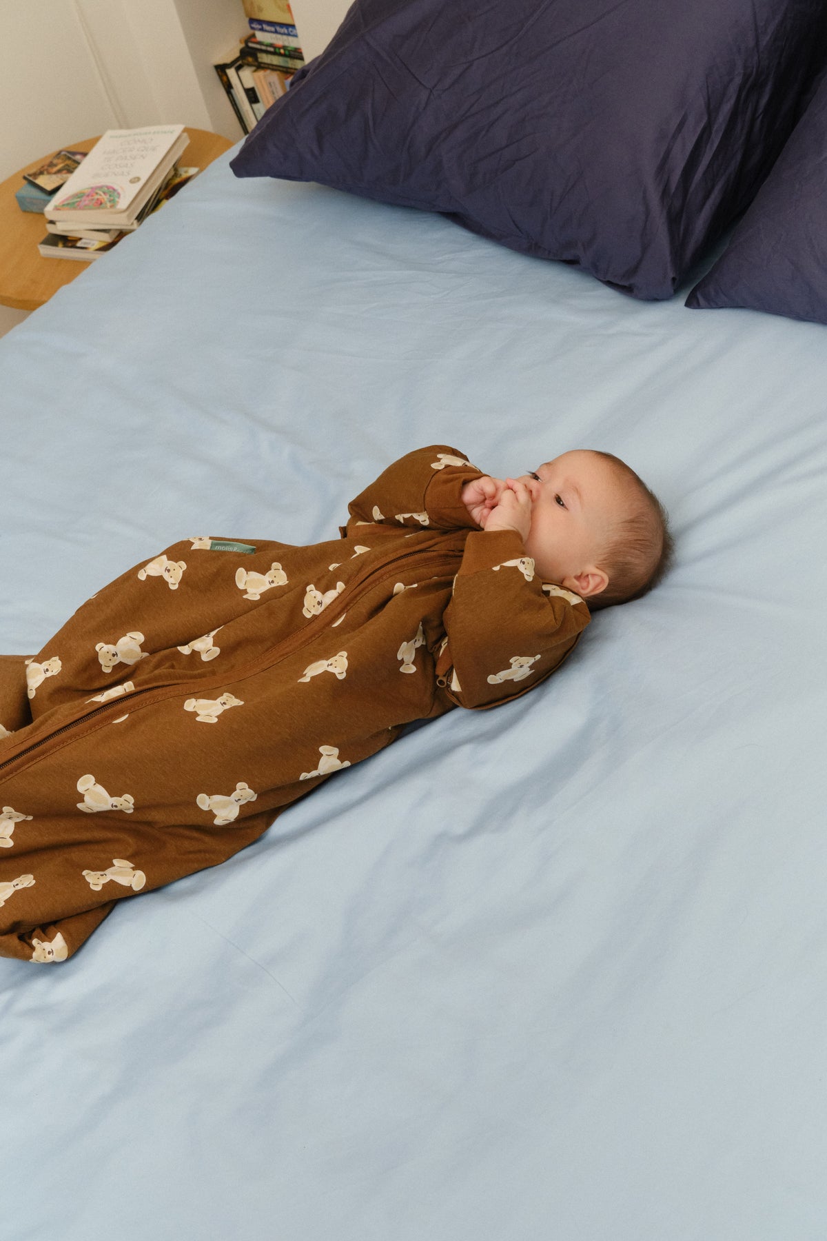 Babyschlafsack mit ärmeln – Teddy mocca - TOG 1