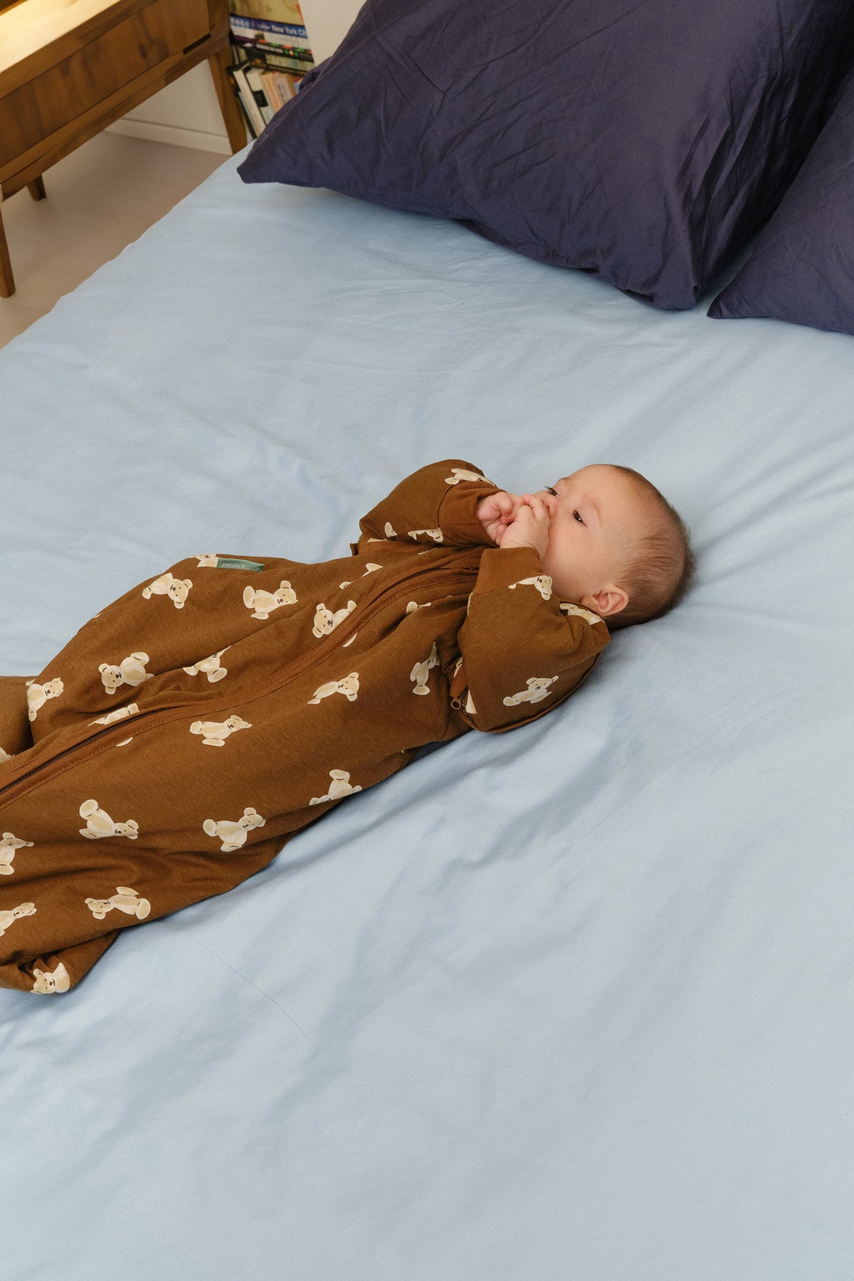 Babyschlafsack mit ärmeln – Teddy mocca - TOG 1