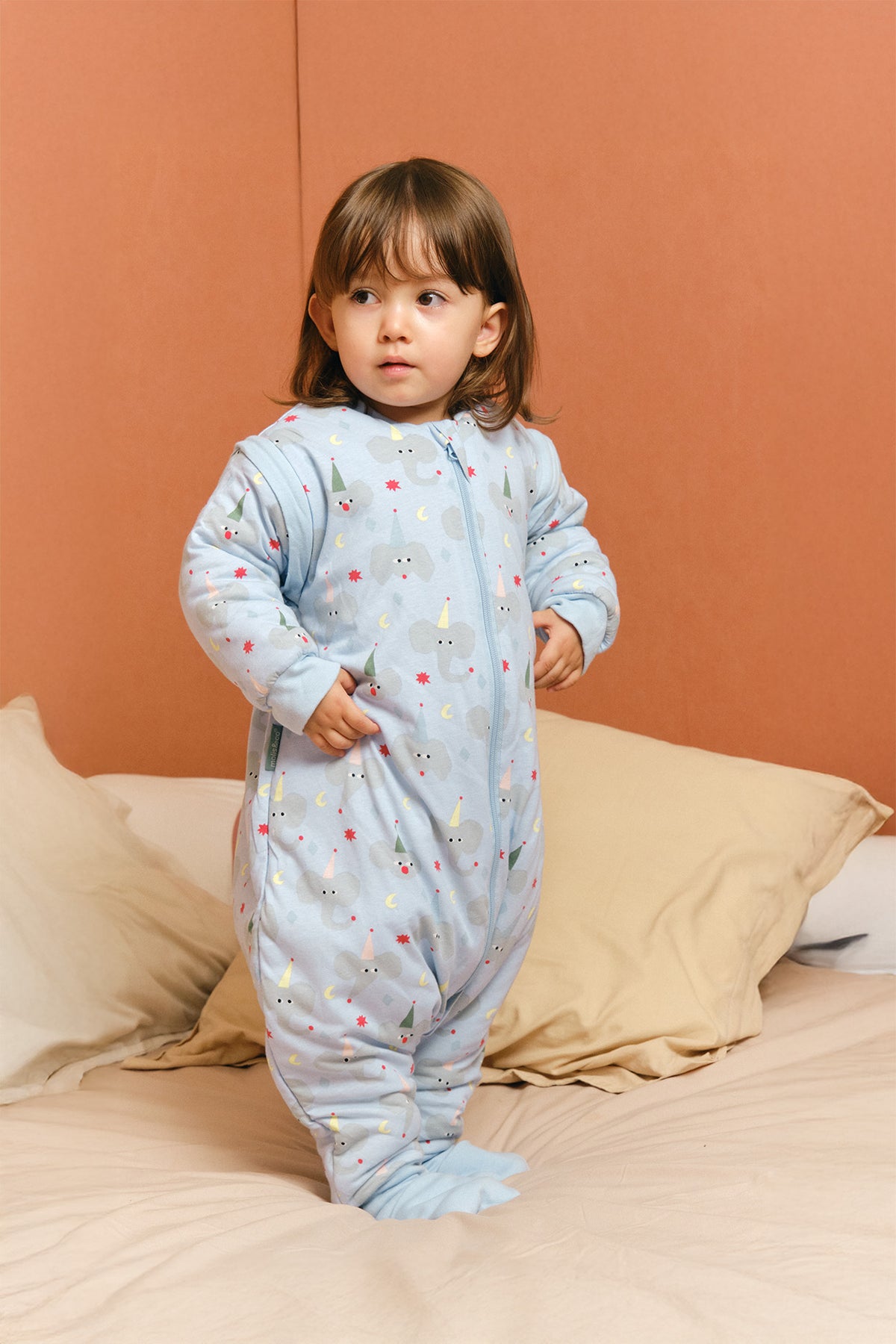 Pack Xmas limited edition: Gingerbread & Animal Party (TOG 2.5)