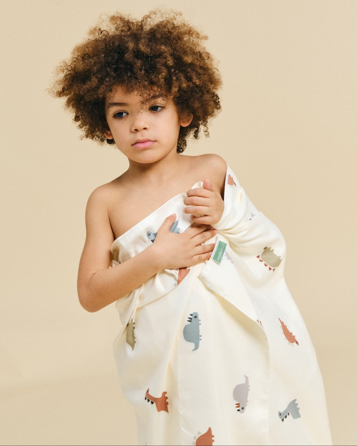 Microfiber towel - Dinos