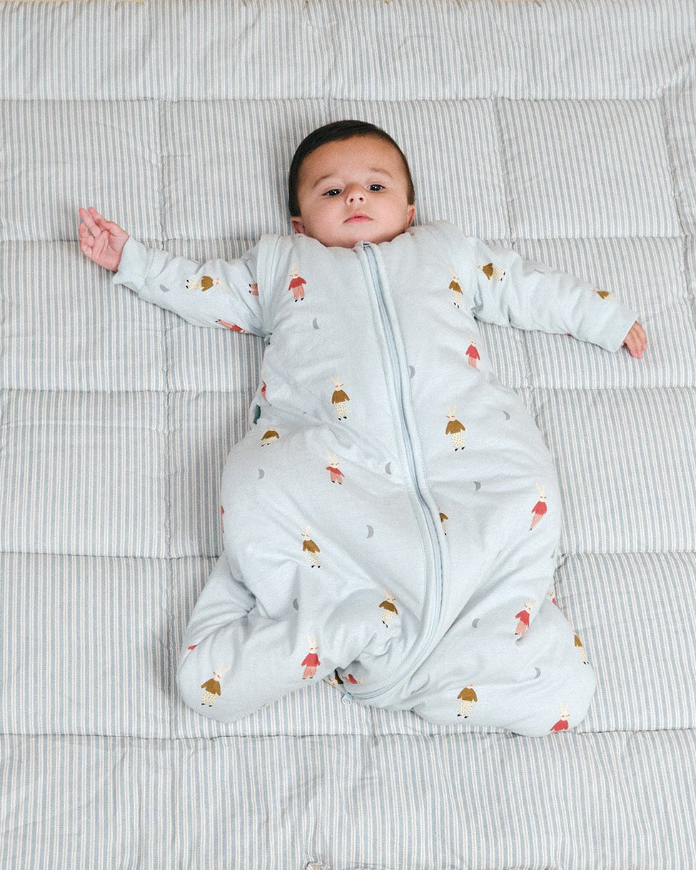 Baby sleep sack with sleeves - Winter Animals - TOG 2.5