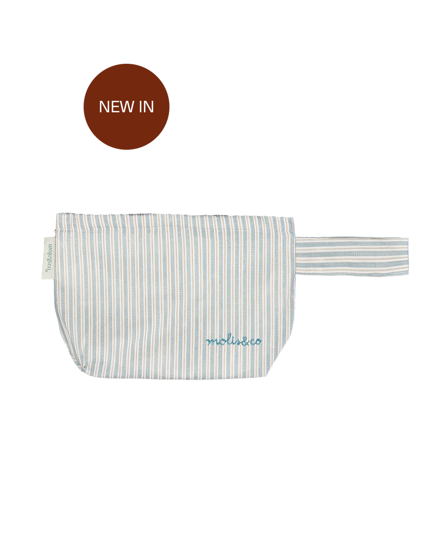 Neceser - Blue Stripes