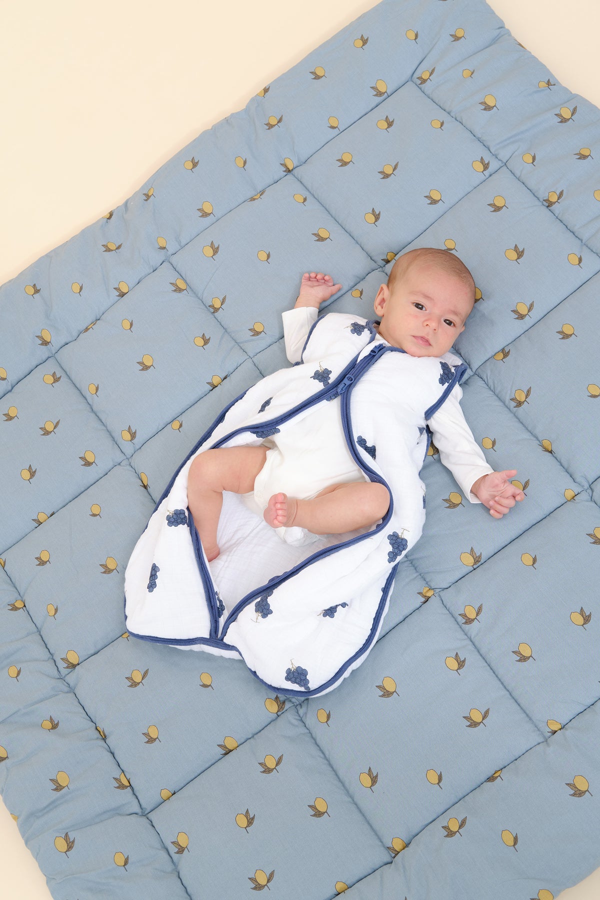 Sweet Dreamers, Sacco nanna per bambini, 3-12 mesi, 2,5 TOG, morbido tessuto di cotone biologico, a righe, colore: grigio Sweet Dreamers, Sacco nanna per bambini, 3-12 mesi, 2,5 TOG, morbido tessuto di cotone biologico, a righe, colore: grigio