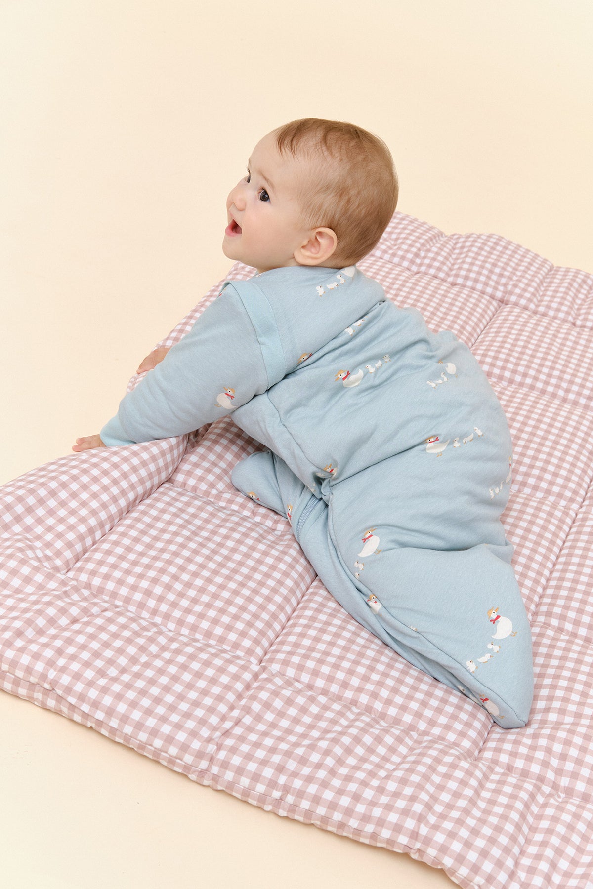 Baby sleep sack with sleeves - Duck Family - TOG 2.5