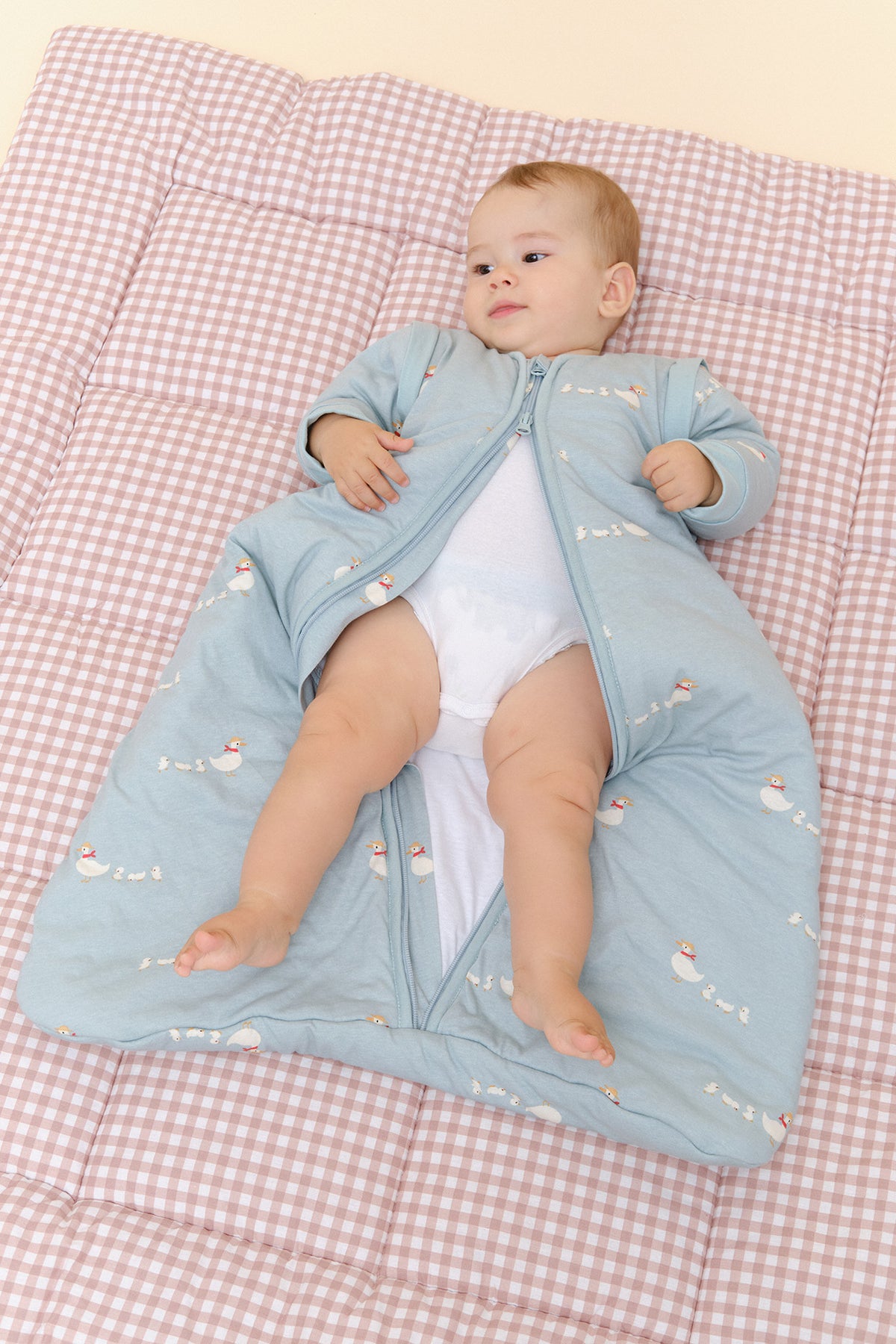 Baby sleep sack with sleeves - Duck Family - TOG 2.5