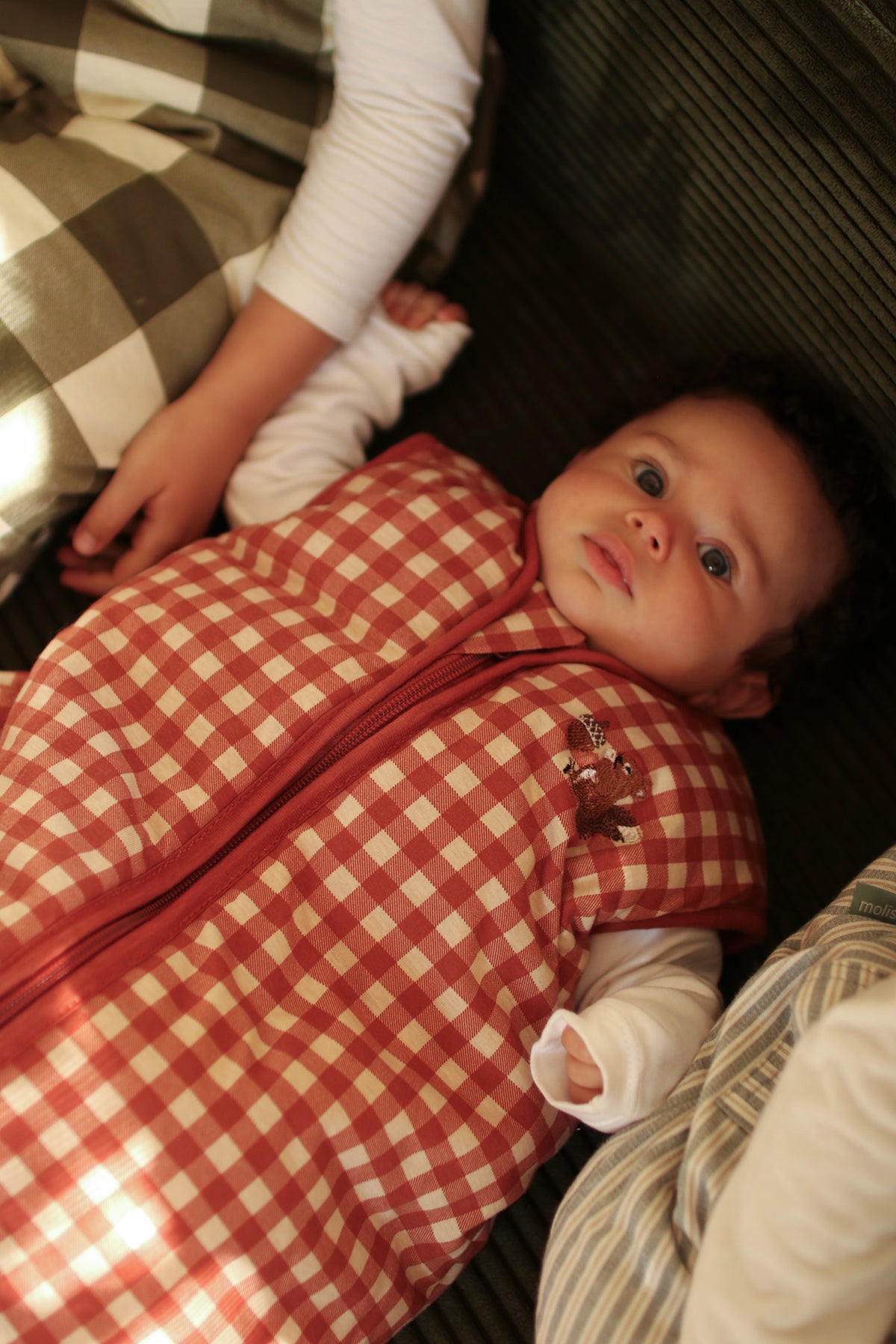 Baby sleep sack - Carrots - TOG 2.5