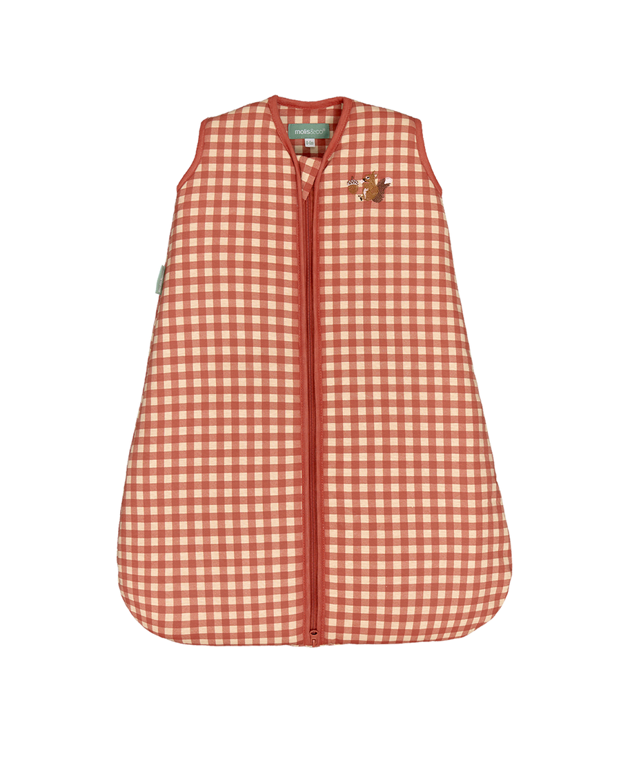 Sacco nanna per neonato - Vichy Clay - TOG 2.5